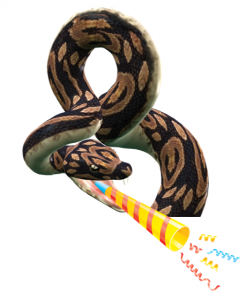 Python strikes again! More Python scripts for Tableau Prep – VizPainter